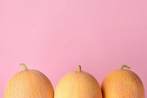 Sweet ripe melons on color background — Stock Photo, Image