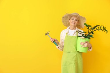 Renkli arka planda kadın bahçıvan Portresi