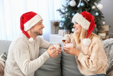 Mutlu çift Noel arifesinde evde sıcak çikolata içme