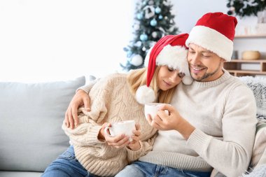 Mutlu çift Noel arifesinde evde sıcak çikolata içme