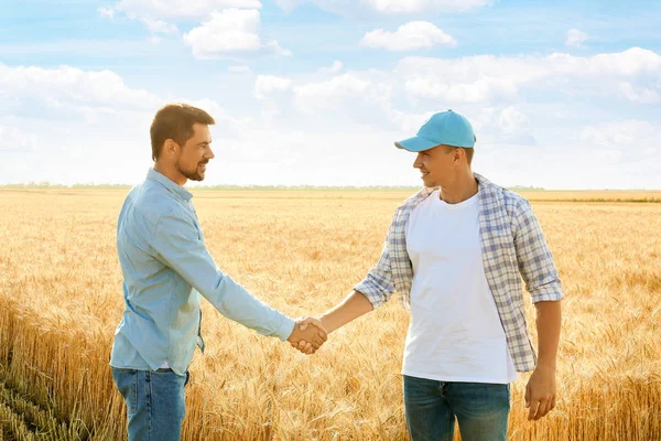 Erkek çiftçiler buğday tarlasında el sıkışırken — Stok fotoğraf