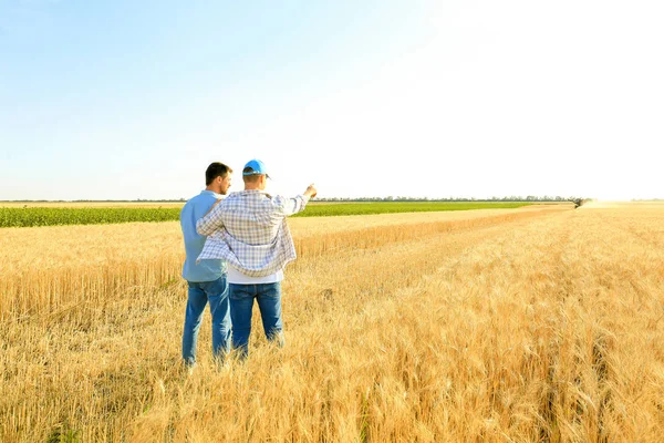 Agricultores do sexo masculino que trabalham no campo de trigo — Fotografia de Stock