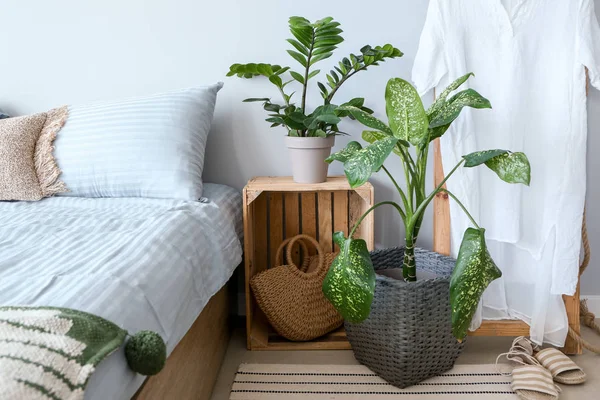 Interior del dormitorio moderno con plantas de interior — Foto de Stock