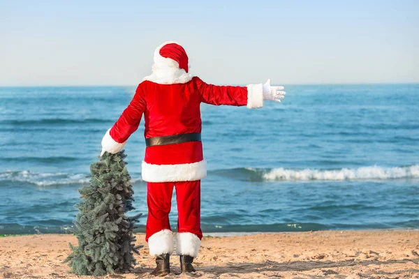 Santa Claus with fir tree at sea resort — Stock Photo, Image