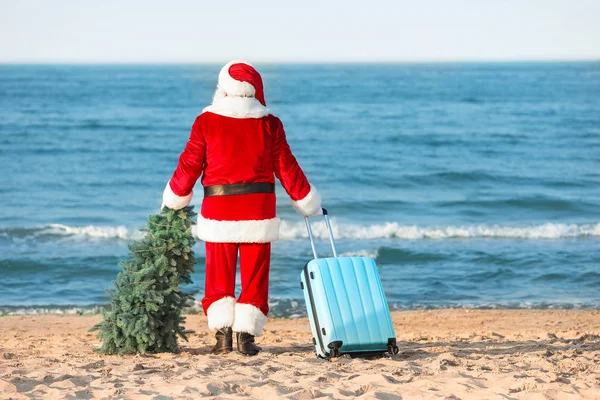 Santa Claus with luggage and fir tree at sea resort — Stock Photo, Image