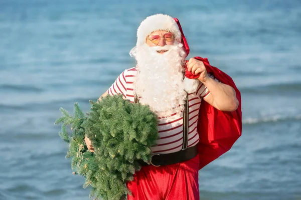 Santa Claus with gifts and fir tree at sea resort — Stock Photo, Image