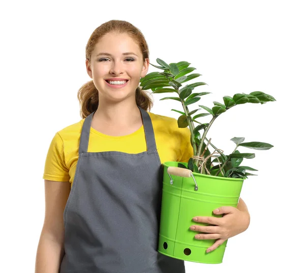 Portrait of female gardener on white background — Stock Photo, Image