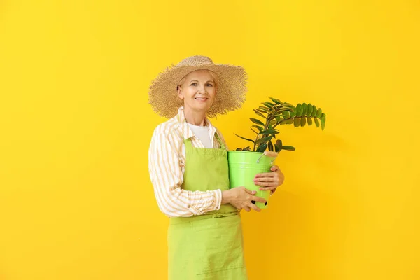 Retrato de jardineiro feminino sobre fundo de cor — Fotografia de Stock