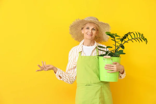 Retrato de jardineiro feminino sobre fundo de cor — Fotografia de Stock