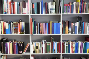 Modern Kütüphane raflarında çok kitap