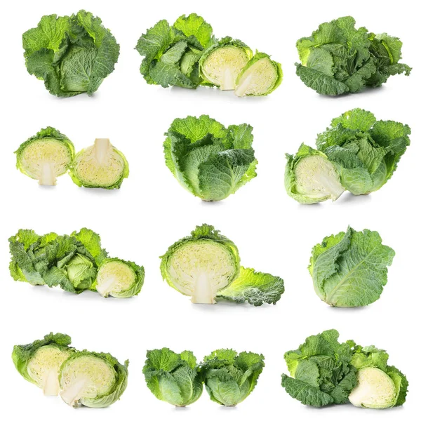 Set with savoy cabbage on white background — Stock Photo, Image