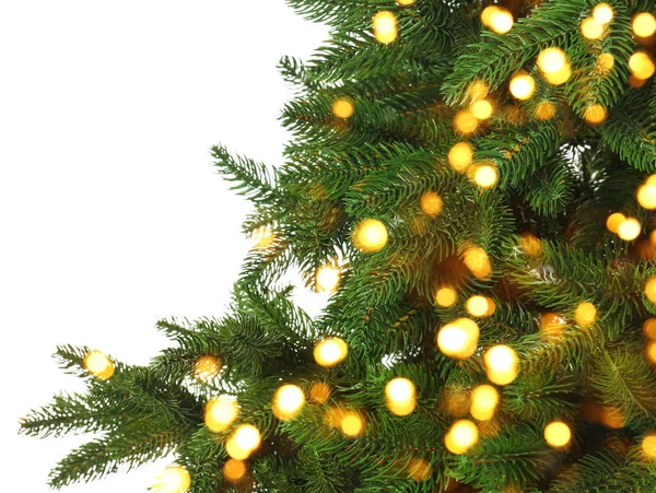 Bellissimo albero di Natale su sfondo bianco, primo piano — Foto Stock