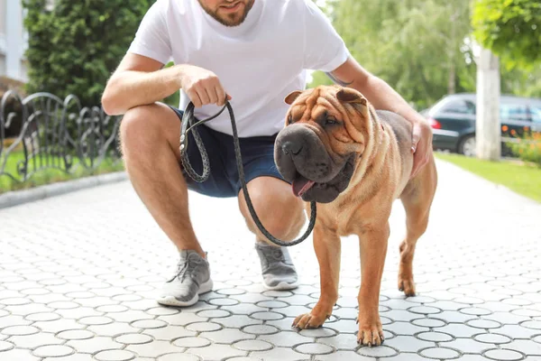 Sporty man with cute dog walking outdoors — Stock Photo, Image