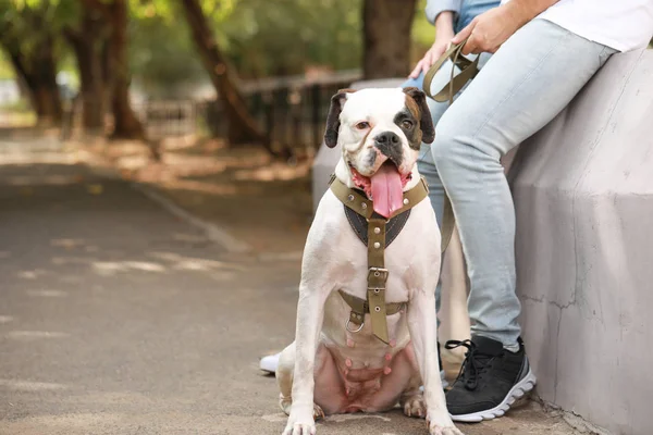 Pareja joven con lindo perro en el parque —  Fotos de Stock