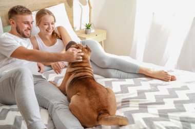 Evde yatakta sevimli köpek ile Mutlu çift