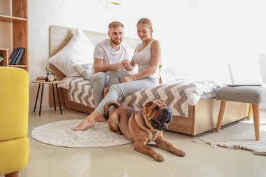 Yatak odasında sahipleri ile Sevimli Shar-Pei köpek