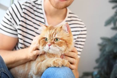 Noel arifesinde evde sevimli kedi ile genç adam