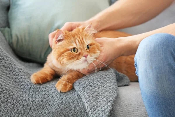 Jeune homme avec chat mignon à la maison — Photo