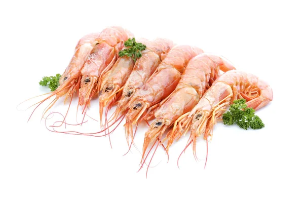 Chutné krevety na bílém pozadí — Stock fotografie