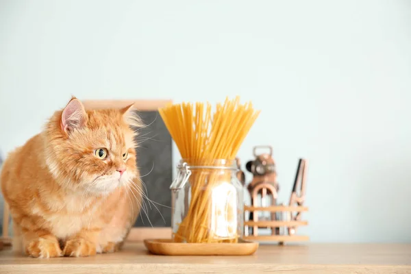 Cute Persian cat on kitchen table — Stock Photo, Image