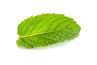 Beyaz arkaplanda taze yeşil nane yaprağı