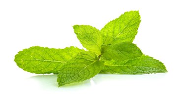 Beyaz arkaplanda taze yeşil nane