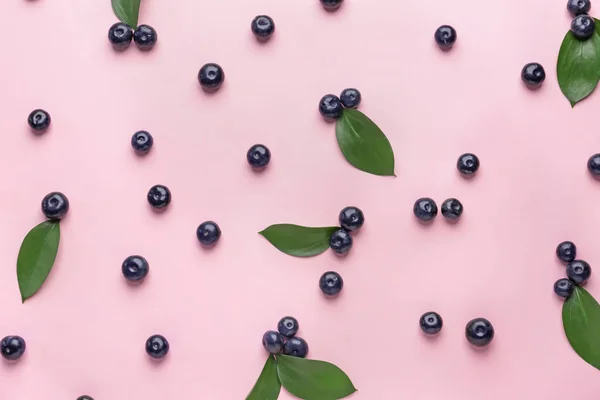 Fresh acai berries on color background — Stock Photo, Image