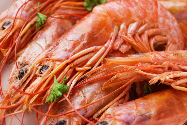 Tasty boiled shrimps, closeup view