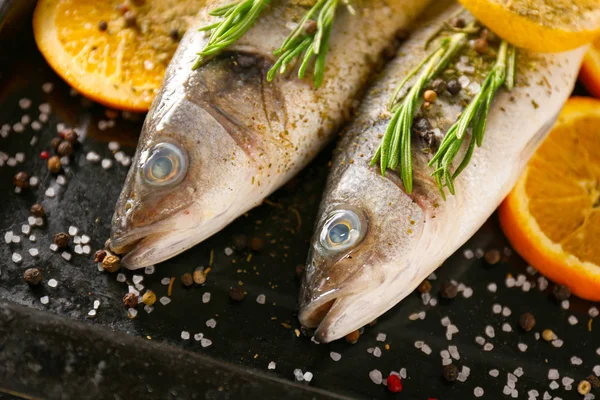 Fresh sea bass with spices and herbs on tray, closeup — Stock Photo, Image