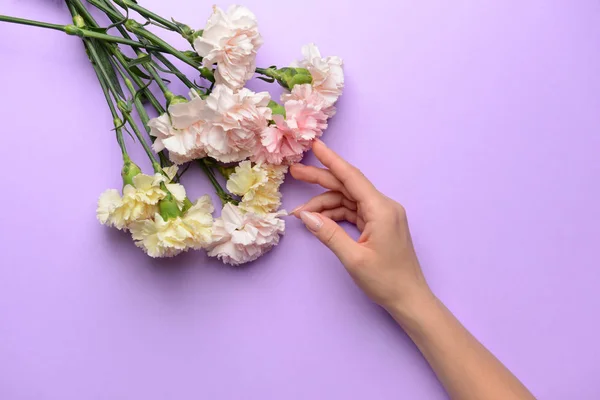 Mano femminile con bellissimi fiori di garofano su sfondo a colori — Foto Stock