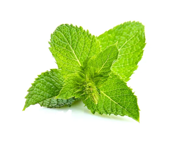 Fresh green mint on white background — Stock Photo, Image