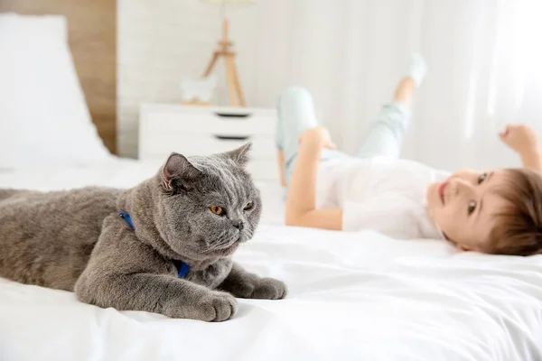 Petit garçon avec chat mignon dans la chambre — Photo