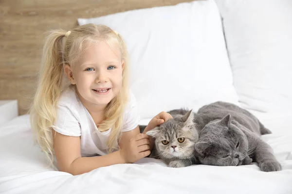 Petite fille avec des chats mignons dans la chambre — Photo