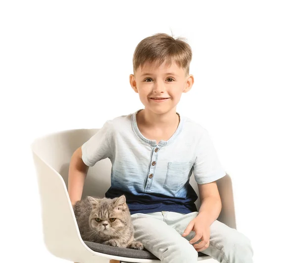 Menino com gato bonito sentado na cadeira contra fundo branco — Fotografia de Stock