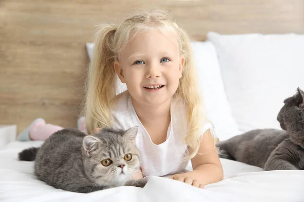 Petite fille avec des chats mignons dans la chambre — Photo