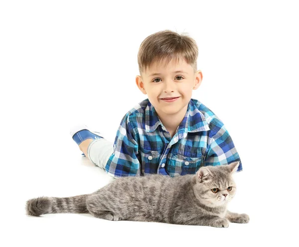 Menino com gato bonito no fundo branco — Fotografia de Stock