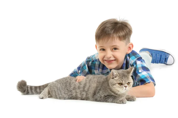 Kleine jongen met schattige kat op witte achtergrond — Stockfoto
