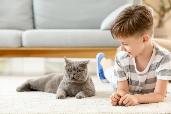 Liten pojke med söt katt hemma — Stockfoto