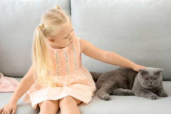 Menina com gato bonito em casa — Fotografia de Stock