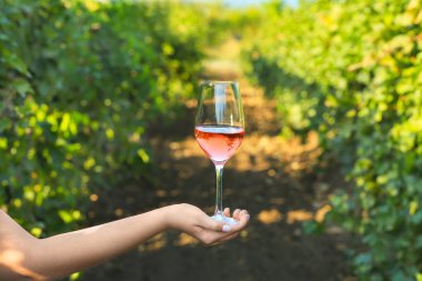 Female hand with glass of tasty wine in vineyard clipart