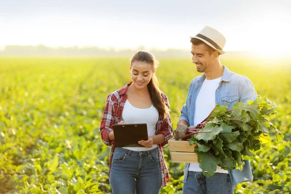 Jóvenes agricultores con cosecha de remolacha en el campo — Foto de Stock