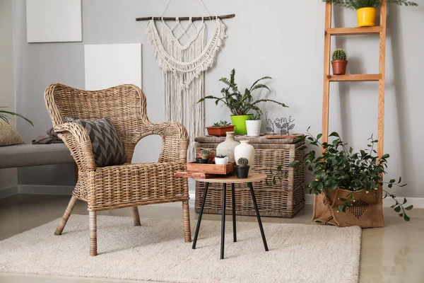 Elegante interior de la habitación con hermosas plantas de interior —  Fotos de Stock