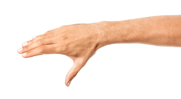 白い背景の上何かを持っている男性の手 — ストック写真
