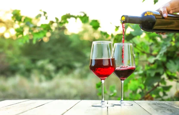 Versando del vino saporito da bottiglia in occhiali su tavolo in vigna — Foto Stock