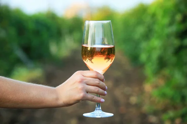 Mano femenina con copa de vino sabroso en viñedo — Foto de Stock