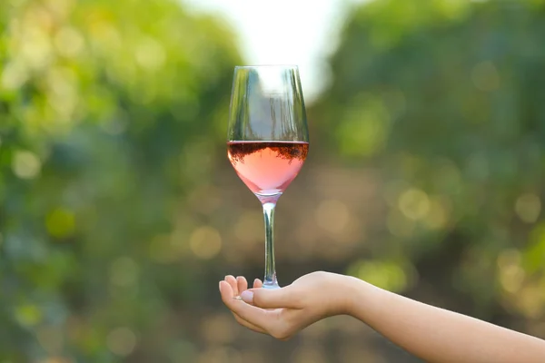 Mano femenina con copa de vino sabroso en viñedo — Foto de Stock