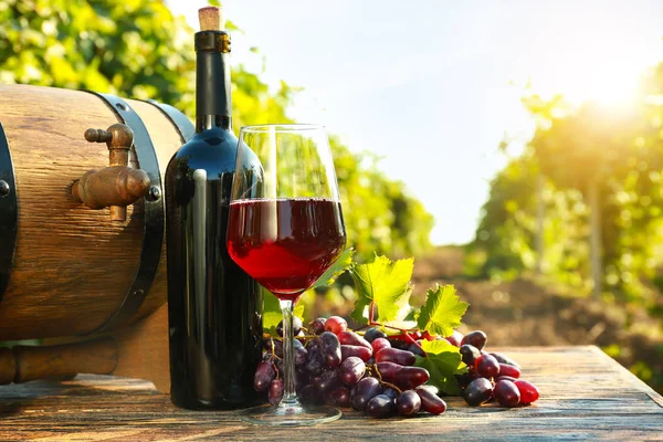 Стекло и бутылка красного вина со свежим виноградом и бочкой на деревянном столе в винограднике — стоковое фото