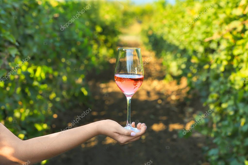 vinicultura #hashtag