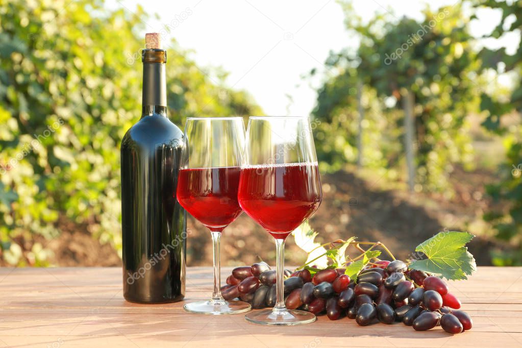 Glasses and bottle of red wine with fresh grapes on wooden table in vineyard