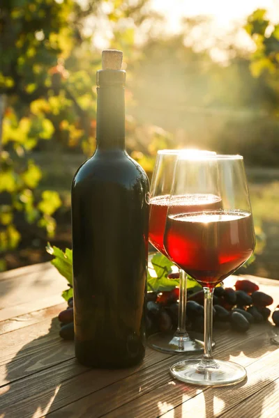Bicchieri e bottiglia di vino rosso con uva fresca sul tavolo di legno in vigna — Foto Stock
